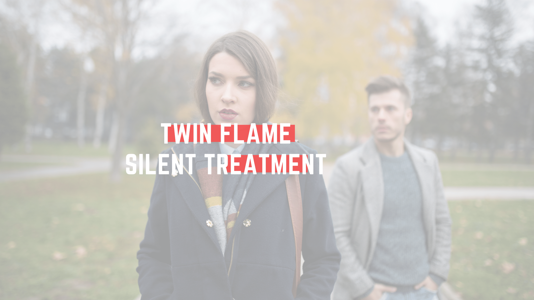 twin flame silent treatment