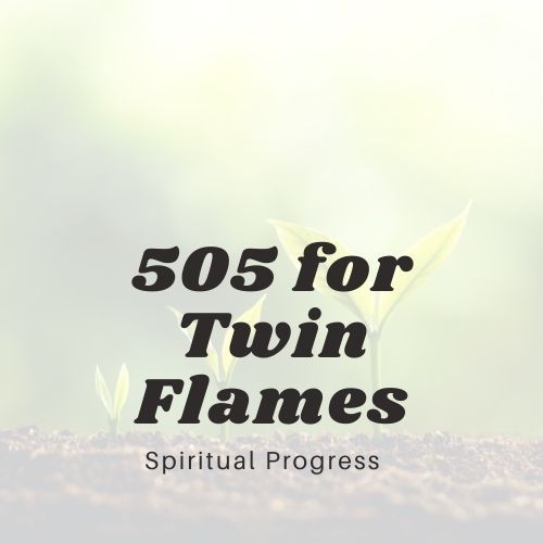 Twin Flames Seeing 505