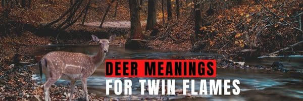 deer meaning for twin flames