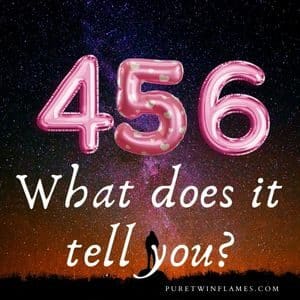 456 for twin flames